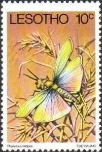 Colnect-1730-140-African-Bush-Grasshopper-Phymateus-viridipes.jpg
