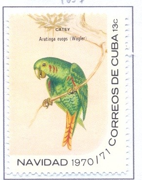Colnect-2510-902-Cuba-Parakeet---Aratinga-euops.jpg