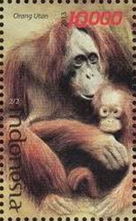 Colnect-3749-720-Orangutan-Pongo-sp.jpg