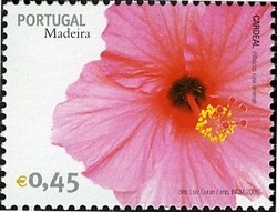Colnect-546-323-Madeira-Flowers-Hibiscus.jpg