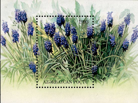 Stamp_of_Azerbaijan_192.jpg