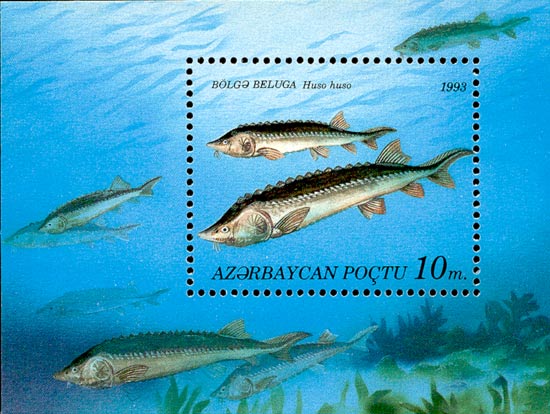 Stamp_of_Azerbaijan_199.jpg