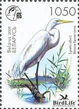 Colnect-197-459-Great-Egret-Casmerodius-albus-.jpg
