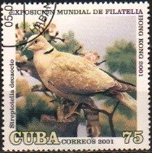 Colnect-2110-482-Eurasian-Collared-Dove-Streptopelia-decaocto.jpg
