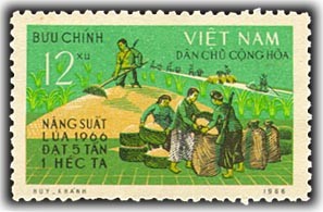 Colnect-1638-894-Rice-cultivation.jpg