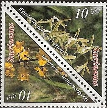 Colnect-2272-449-Cyrtopodium-Cristatum-Epidendrum-Cristatum.jpg