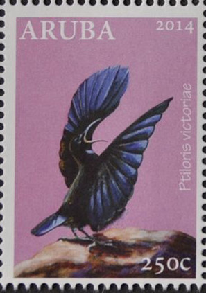 Colnect-2348-191-Victoria--s-Riflebird-Ptiloris-victoriae.jpg
