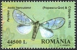 Colnect-758-099-Moth-Peridea-korbi-herculana.jpg