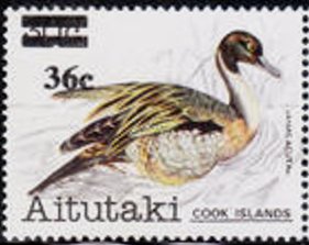 Colnect-3441-414-Northern-Pintail-Anas-acuta.jpg