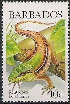Colnect-1497-062-Guyana-Kentropyx-Kentropyx-borckianus.jpg