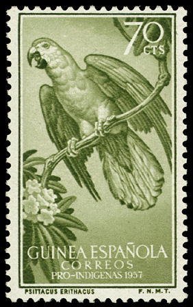 Colnect-1534-663-Grey-Parrot-Psittacus-erithacus.jpg