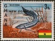 Colnect-2322-385-African-Lungfish-Protopterus-annectens---overprinted.jpg