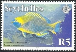 Colnect-1705-009-Greencheek-Parrotfish-Scarus-prasiognathos.jpg