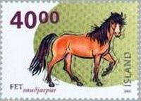 Colnect-423-056-Iceland-Horse-Equus-ferus-caballus.jpg
