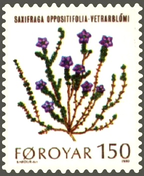 Faroe_stamp_044_mountain_flowers_%28saxifraga_oppositifolia%29.jpg