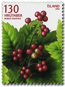 Colnect-1096-774-Rubus-saxatilis.jpg
