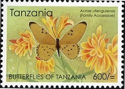 Colnect-1690-509-Tanzanian-Fiery-Acraea-Acraea-utengulensis.jpg