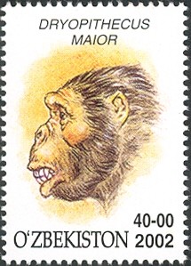 Colnect-2427-366-Dryopithecus-maior.jpg