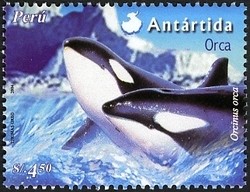 Colnect-1561-987-Killer-Whale-Orcinus-orca.jpg