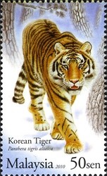 Colnect-614-142-Korean-Tiger-Panthera-tigris-altaica.jpg