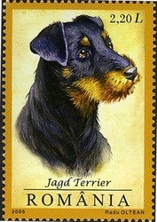 Colnect-760-502-Jagdterrier-Canis-lupus-familiaris.jpg