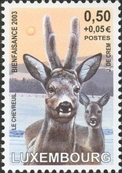 Colnect-858-598-Roe-Deer-Capreolus-capreolus.jpg