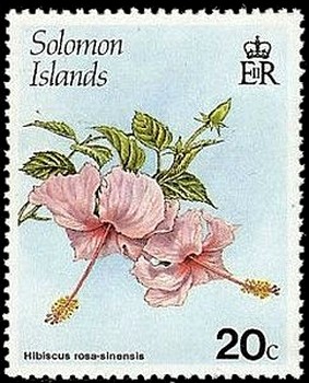 Hibiscus-rosasinensis.jpg