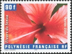Colnect-601-054-Hibiscus-rosa-sinensis.jpg