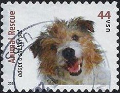 Colnect-1699-652-Wire-haired-Jack-Russell-Terrier-Canis-lupus-familiaris.jpg