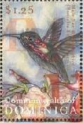 Colnect-3254-575-Fountainbush-Russelia-equisetiformis-Hummingbird.jpg
