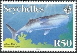 Colnect-1705-010-Whale-Shark-Rhincodon-typus.jpg