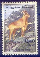 Colnect-1894-863-Barbary-Sheep-Ammotragus-lervia.jpg