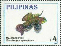 Colnect-3001-777-Mandarinfish-Synchiropus-splendidus.jpg
