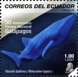 Colnect-506-589-Whale-Shark-Rhincodon-typus.jpg