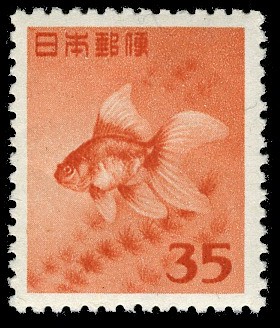 Colnect-823-781-Goldfish-Carassius-auratus.jpg