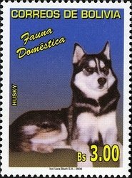 Colnect-1411-759-Sibirian-Husky-Canis-lupus-familiaris.jpg