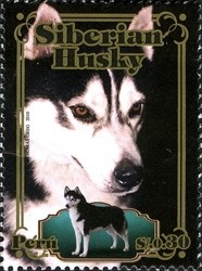 Colnect-1594-870-Siberian-Husky-Canis-lupus-familiaris.jpg