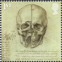 Colnect-5588-811-Cross-Section-of-Skull.jpg