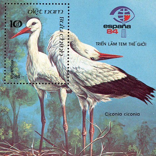 Colnect-1613-185-White-Stork-Ciconia-ciconia.jpg
