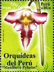Colnect-1597-462-Orchids---Maxillaria-pyhalae.jpg