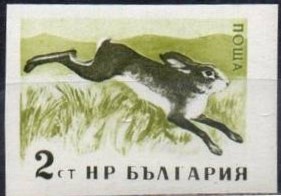 Colnect-1644-629-European-Hare-Lepus-europaeus---totally-Imperforated.jpg