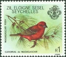 Colnect-2302-372-Seychelles-Fody-Foudia-sechellarum.jpg