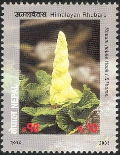 Colnect-550-417-Flower-series-No-4---Himalayan-Rhubarb.jpg