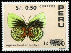 Colnect-1662-225-Nymphalid-Butterfly-Agrias-beata---Female.jpg