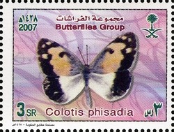 Colnect-1729-749-Blue-spotted-Arab-Colotis-phisadia.jpg