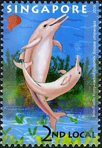 Colnect-609-918-Chinese-White-Dolphin-Sousa-chinensis.jpg