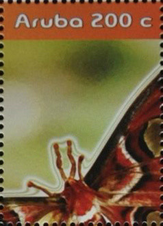 Colnect-2711-971-Atlas-Moth-Attacus-atlas---Part.jpg