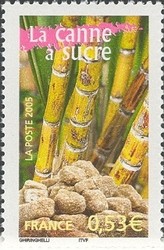 Colnect-574-535-The-sugar-cane.jpg