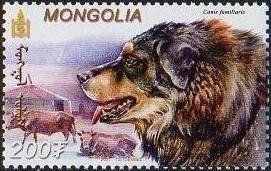 Colnect-1290-165-Tibetan-Mastiff-Canis-lupus-familiaris.jpg