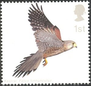 Colnect-1800-076-Common-Kestrel-Falco-tinnunculus-with-Wings-fully-extended.jpg